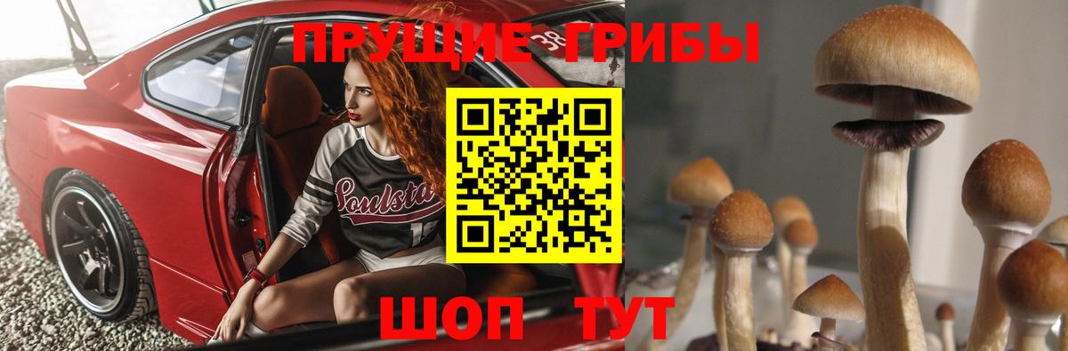 Галлюциногенные грибы Magic Shrooms  Галлюциногенные грибы MAGIC MUSHROOMS  Дедовск  Вход с VPN 